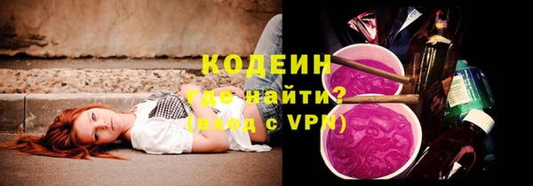 шишки Пересвет