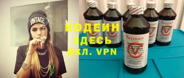 шишки Пересвет