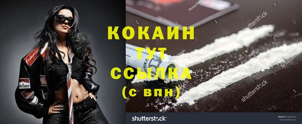 шишки Пересвет