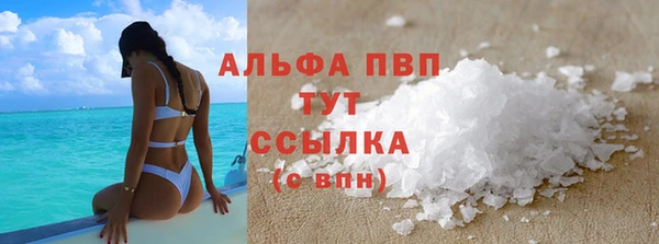 шишки Пересвет
