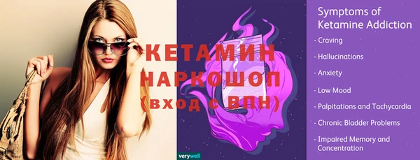 шишки Пересвет
