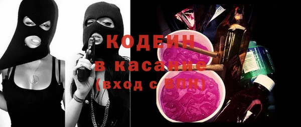 шишки Пересвет
