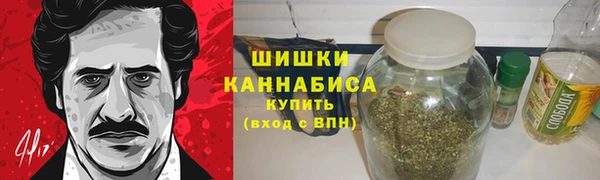 шишки Пересвет