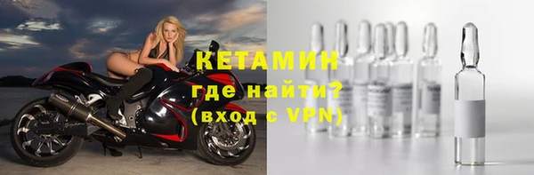 шишки Пересвет
