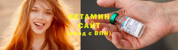 шишки Пересвет