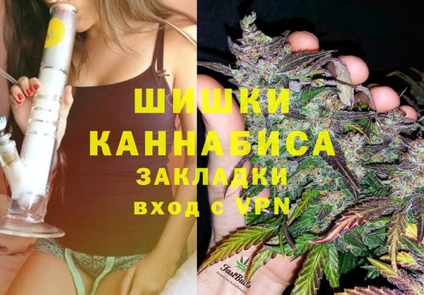 шишки Пересвет