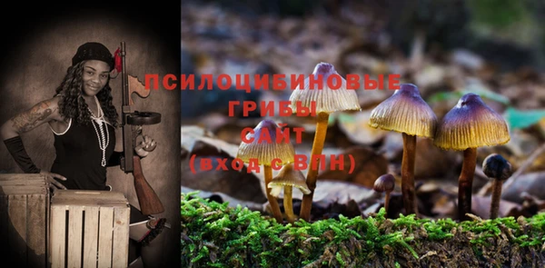 шишки Пересвет