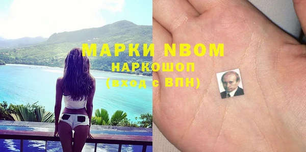 шишки Пересвет