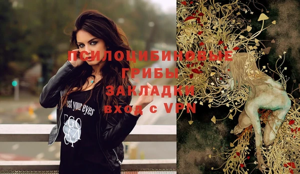 шишки Пересвет
