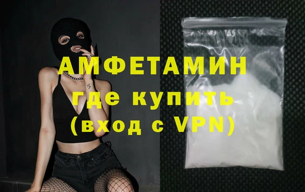 шишки Пересвет