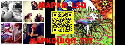 шишки Гай