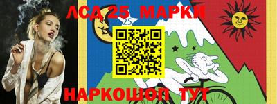 шишки Гай