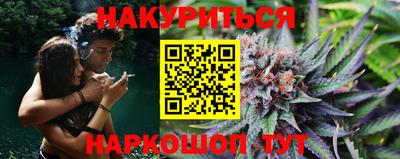 шишки Гай