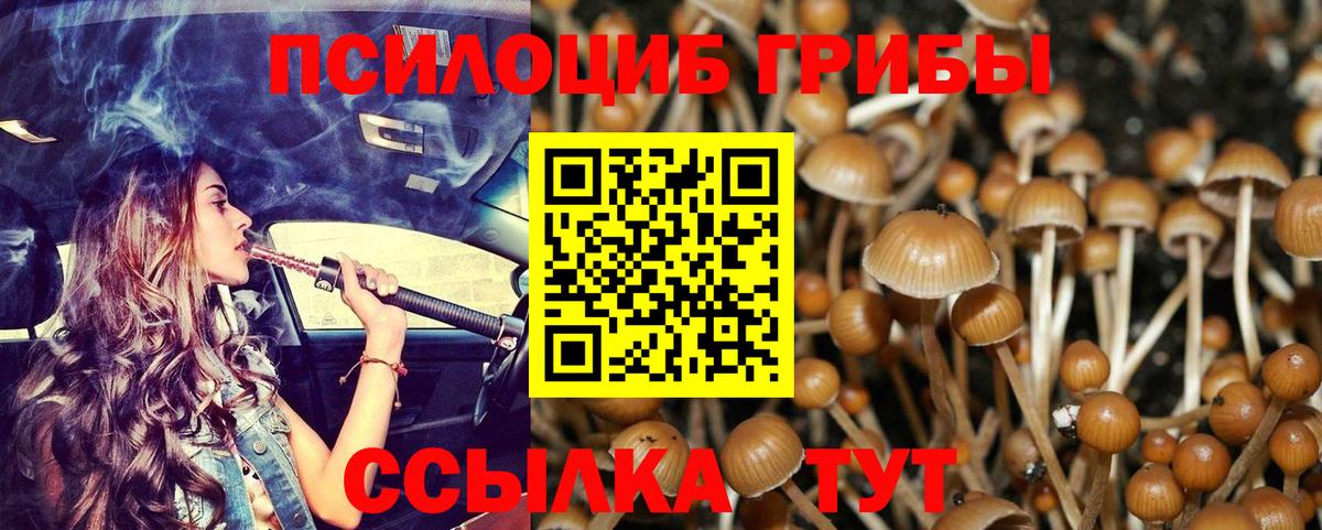 Псилоцибиновые грибы ЛСД Черногорск