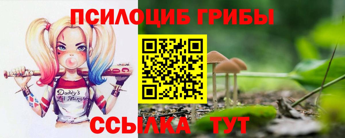 Черногорск  Псилоцибиновые грибы MAGIC MUSHROOMS  Вход с VPN 